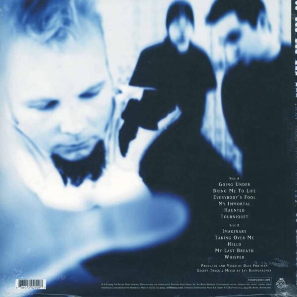Evanescence - Fallen LP - Görsel 2