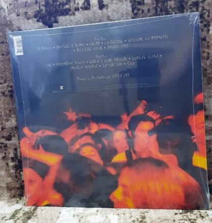 Green Day – Dookie LP - Görsel 2