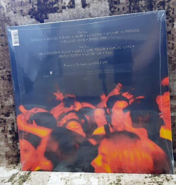 Green Day – Dookie LP - Görsel 2