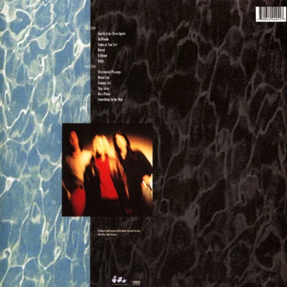 Nirvana - Nevermind LP - Görsel 2