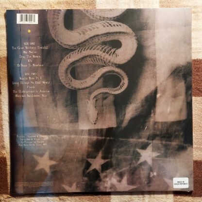 Pantera - The Great Southern Trendkill Coloured LP - Görsel 2