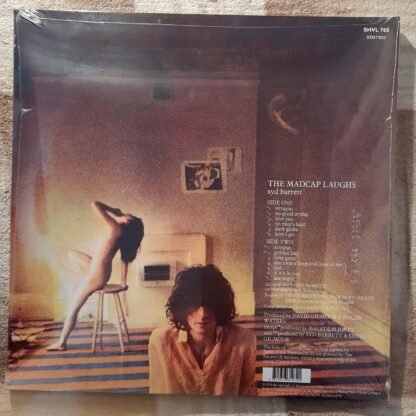 Syd Barrett - The Madcap Laughs LP - Görsel 2