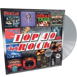 Various Top 40 - Rock (Coloured) Plak