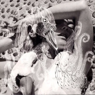 Björk - Vespertine 2LP