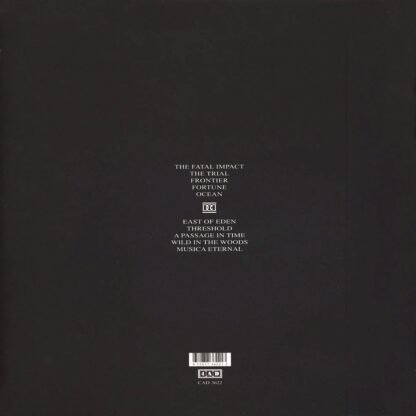 Dead Can Dance - Dead Can Dance LP - Görsel 2