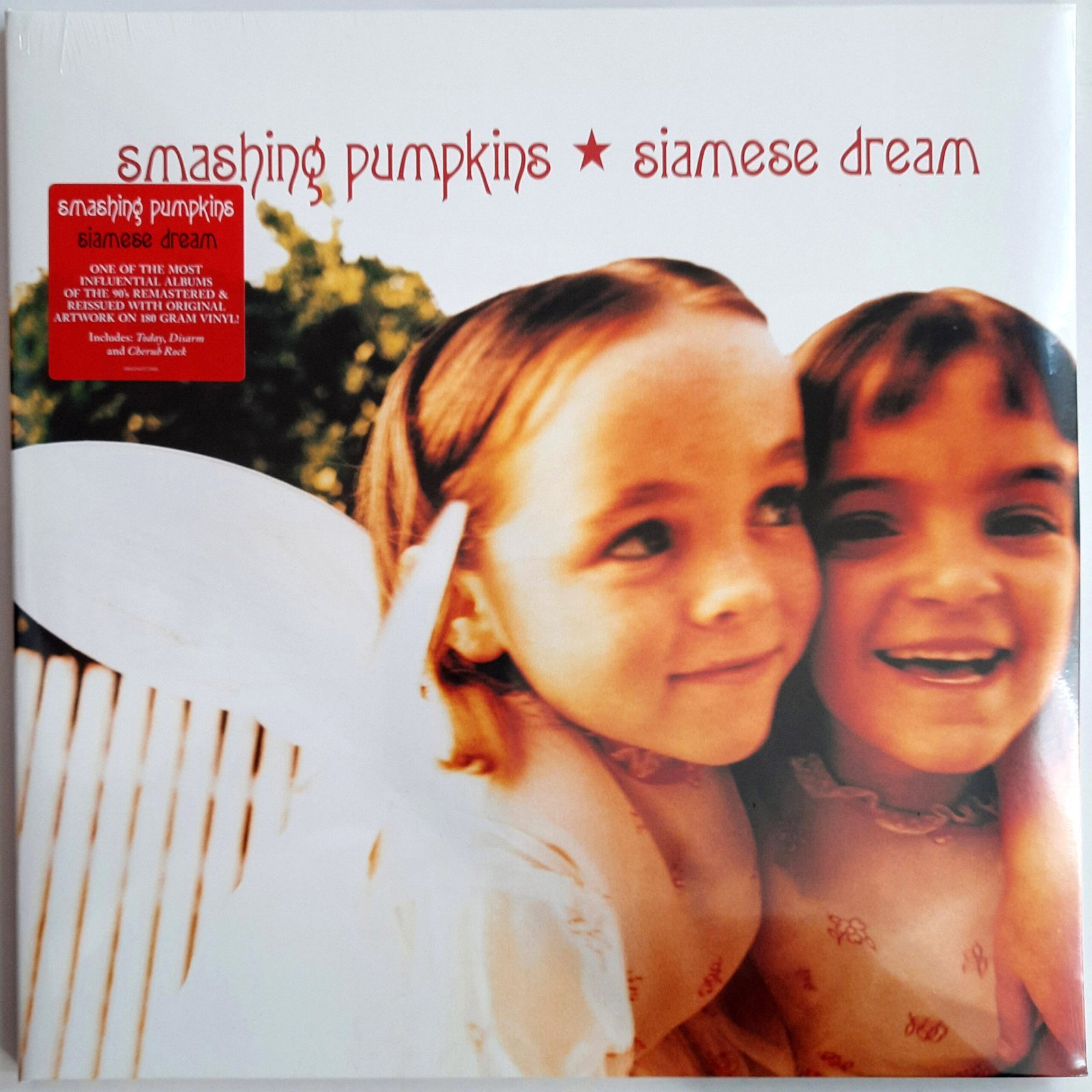 The Smashing Pumpkins - Siamese Dream 2LP