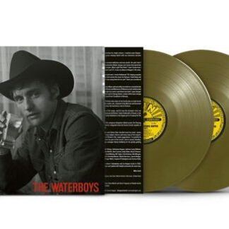 The Waterboys - Life, Death & Dennis Hopper 2LP