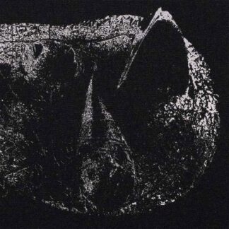Demon Head - Viscera 1LP