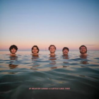 Delights - If Heaven Looks A Little Like This (Orange Vinyl) 1LP