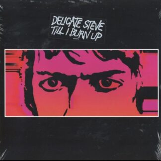 Delicate Steve - Till I Burn Up 1LP