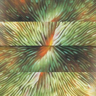 Active Surplus - Mirroring 1LP