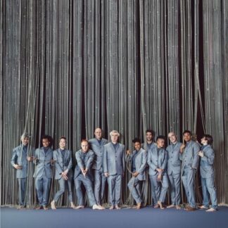 David Byrne - American Utopia On Broadway - Original Cast Recording 2LP