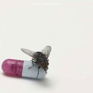 Red Hot Chili Peppers - I'm with You 2LP