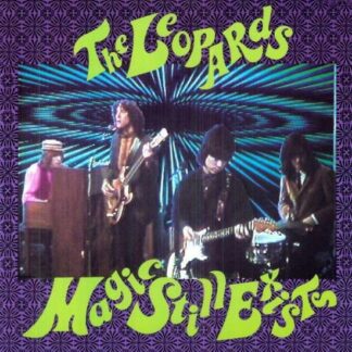 Leopards - Magic Still Exists 1LP