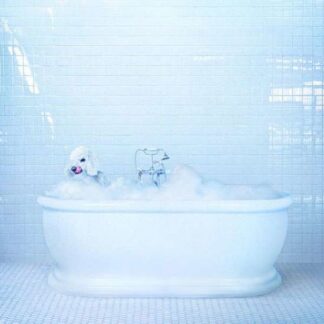 Frankie Cosmos - Vessel 1LP