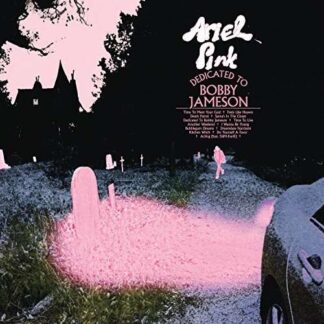 Ariel Pink - Dedicated To Bobby Jameson 2LP