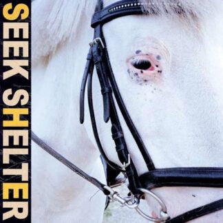 Iceage - Seek Shelter 1LP