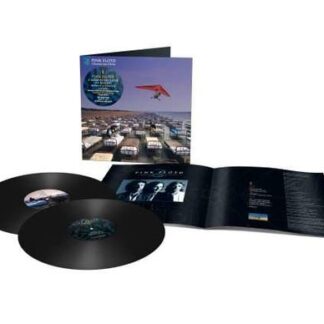 Pink Floyd - A Momentary Lapse Of Reason 2LP
