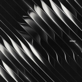 Dimension - Organ 2LP