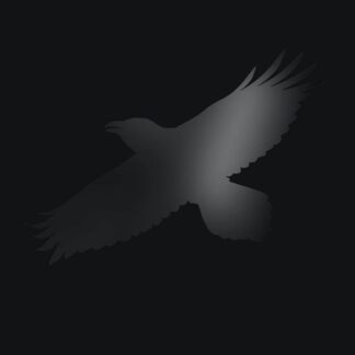 Sigur Ros - Odin's Raven Magic 2LP