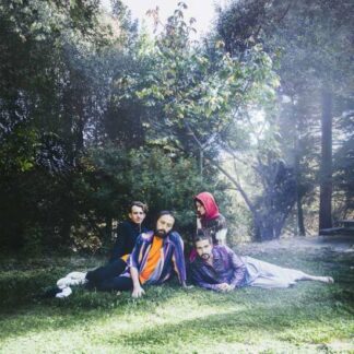 Big Thief - U.f.o.f. 1LP