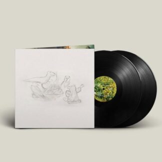Big Thief - Dragon New Warm Mountain I Believe 2LP