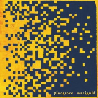Pinegrove - Marigold 1LP