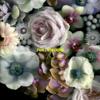 Alpines - Full Bloom 1LP