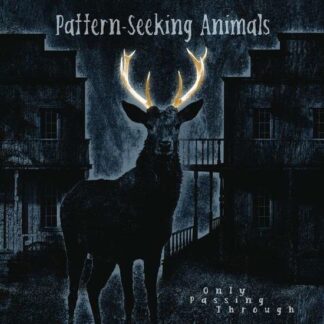 Pattern-seeking Animals - Only Passing Through 3LP