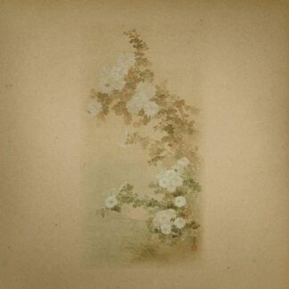 Ezra Feinberg & John Kolodij - Ezra Feinberg & John Kolodij 1LP