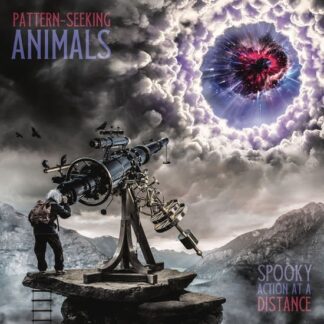 Pattern-seeking Animals - Spooky Action at a Distance 2LP