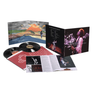 Bob Dylan - Another Budokan 1978 2LP