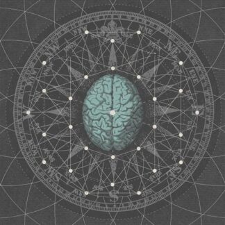 Bipolar Architecture - Metaphysisize 1LP