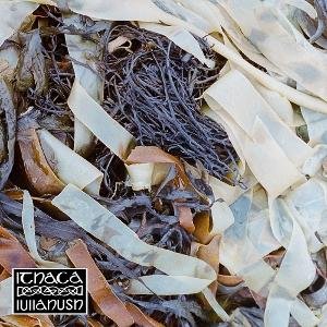 Lullahush - Ithaca 1LP