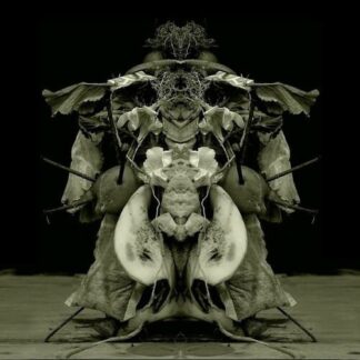 Gurun Gurun - Uzo Otu 1LP