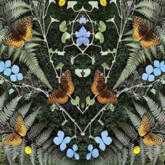 Jean-Michel Blais - Aubades 1LP