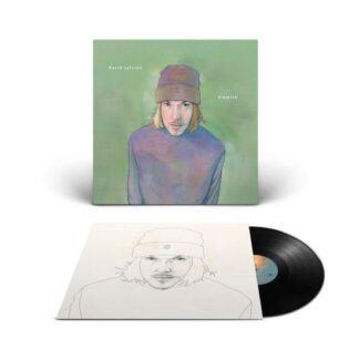 David Sylvian - Blemish 1LP
