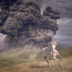The White Buffalo - Year Of The Dark Horse 1LP