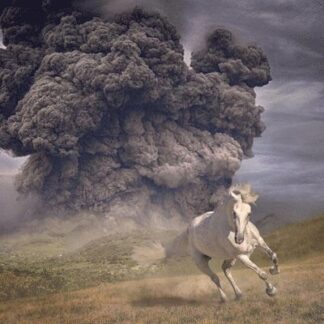 The White Buffalo - Year Of The Dark Horse 1LP