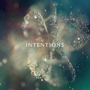 Anna - Intentions 2LP
