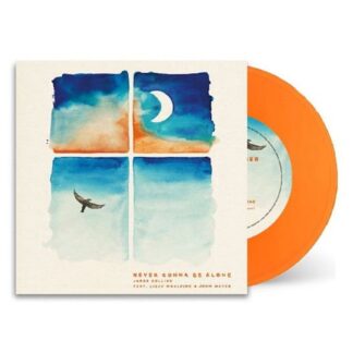 Jacob Collier - NEVER GONNA BE ALONE (RSD) by COLLIER, JACOB 1LP