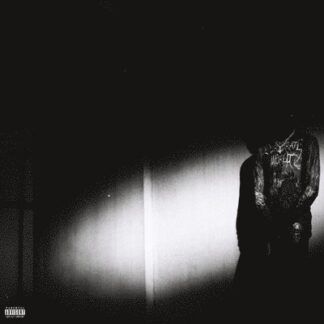 Destroy Lonely - No Stylist 1LP
