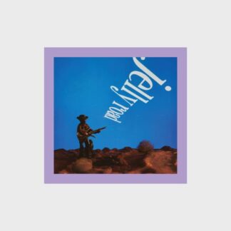 Blake Mills - Jelly Road 2LP