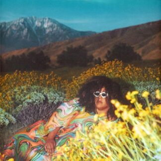 Brittany Howard - What Now 1LP