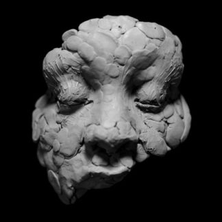 Joy Oladokun - Observations from a Crowded Room 1LP