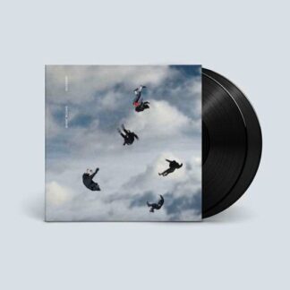 Giant Rooks - Rookery 2LP