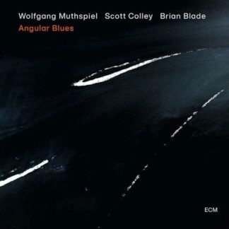 WOLFGANG MUTHSPIEL - ANGULAR BLUES