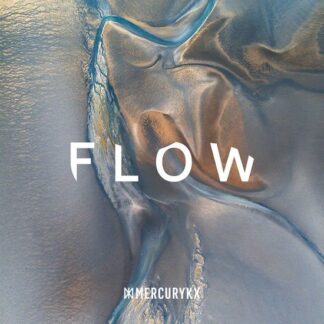Flow / Various - Flow 1LP