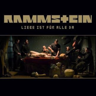 Rammstein - Liebe Ist Für Alle Da 2LP