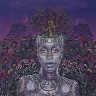 Erykah Badu - New Amerykah Part Two: Return Of The Ankh 2LP
